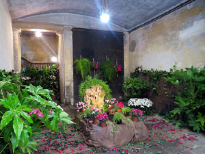 Temps de Flors 2025. Altres instal&middot;lacions