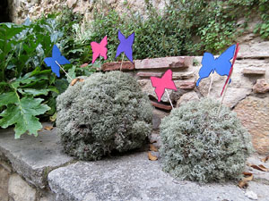 Temps de Flors 2025. Jard&iacute; de l'&Agrave;ngel