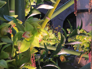 Temps de Flors 2025. Banys &Agrave;rabs