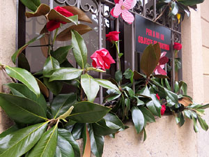 Temps de Flors 2025. C&agrave;ritas Diocesana de Girona