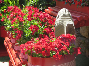 Temps de Flors 2025. Capella de Sant Crist&ograve;fol