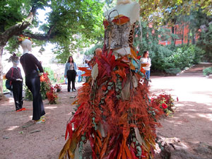 Temps de Flors 2025. Jardins del doctor Figueras