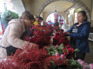 Temps de Flors 2025. Making of de l'esdeveniment