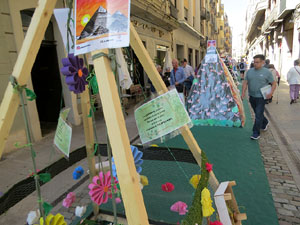 Temps de Flors 2025. Carrer Nou