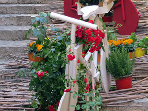 Temps de Flors 2025. Pujada de la Catedral - Escales de la Pera