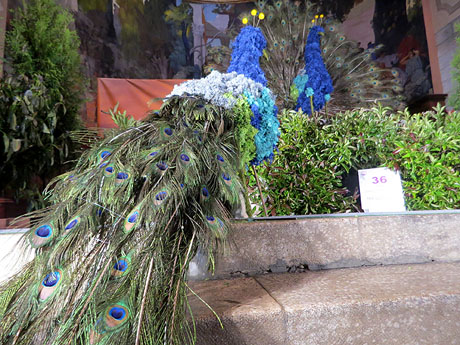 Temps de Flors 2025. Esgl&eacute;sia de Sant Mart&iacute;