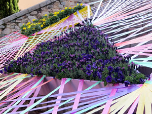 Temps de Flors 2025. Bas&iacute;lica de Sant Feliu. Escalinata