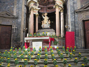 Temps de Flors 2025. Bas&iacute;lica de Sant Feliu (interior)