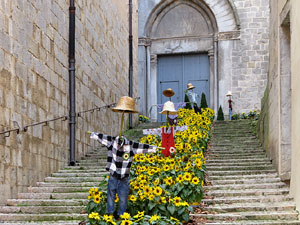 Temps de Flors 2025. Bas&iacute;lica de Sant Feliu. Escala nord
