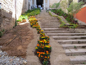 Temps de Flors 2025. Escales de l'esgl&eacute;sia de Sant Mart&iacute;