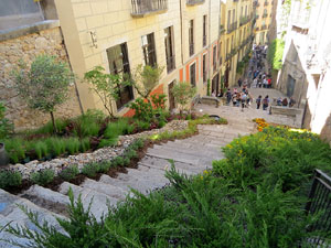 Temps de Flors 2025. Escales de l'esgl&eacute;sia de Sant Mart&iacute;
