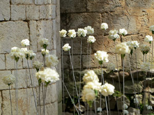 Temps de Flors 2025. Monestir de San Pere de Galligants. Exterior absis
