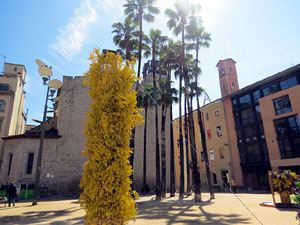 Temps de Flors 2025. Pla&ccedil;a de Santa Susanna