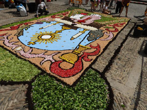 La Diada de Corpus 2026. Les catifes
