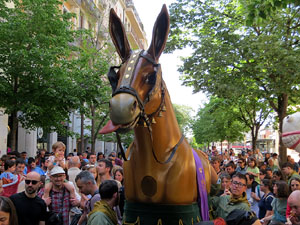 Festes de Primavera de Girona 2026. IX Trobada de Mulasses