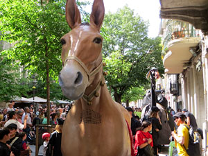 Festes de Primavera de Girona 2026. IX Trobada de Mulasses