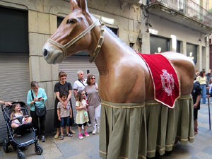 Festes de Primavera de Girona 2026. IX Trobada de Mulasses