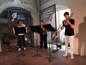 Festival Notes al parc 2026. Jove Orquestra de les Comarques Gironines