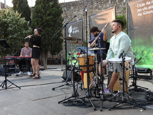 Festival Notes al parc 2026. Neus Plana Quartet