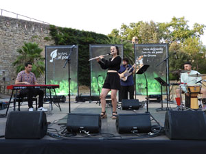 Festival Notes al parc 2026. Neus Plana Quartet