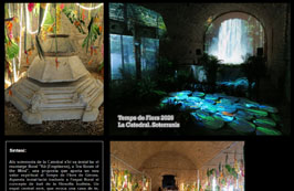 Anar