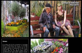 Anar