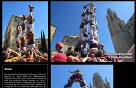 Anar