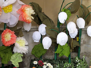 Temps de Flors 2026. Ajuntament (entrada)