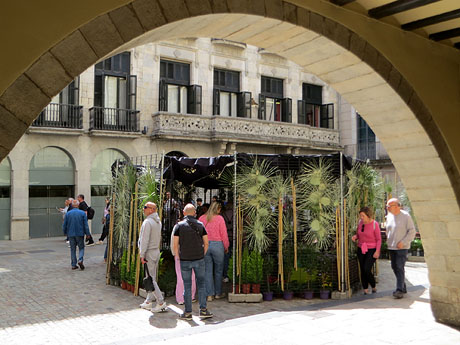Temps de Flors 2026. Altres espais i imatges