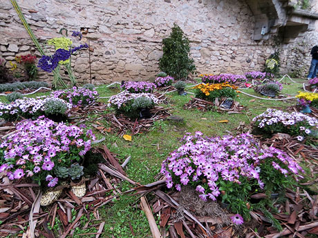 Temps de Flors 2026. Passeig Arqueo&ograve;gic, entrada claustre