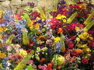 Temps de Flors 2026. Els Banys &Agrave;rabs