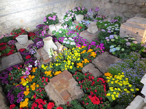 Temps de Flors 2026. Els Banys &Agrave;rabs