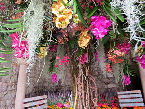 Temps de Flors 2026. Els Banys &Agrave;rabs