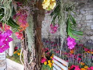 Temps de Flors 2026. Els Banys &Agrave;rabs