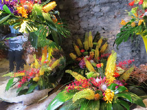 Temps de Flors 2026. Museu d'Hist&ograve;ria. La Carbonera