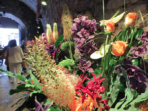 Temps de Flors 2026. Museu d'Hist&ograve;ria. La Carbonera