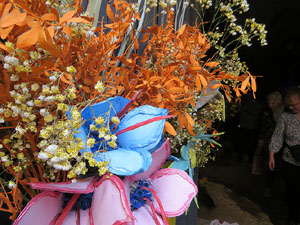 Temps de Flors 2026. Museu d'Hist&ograve;ria. La Carbonera