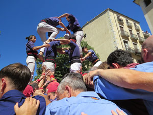 Temps de Flors 2026. Diada Castellera