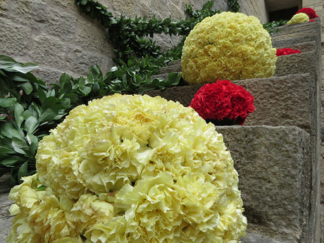 Temps de Flors 2026. La Catedral- Passad&iacute;s fossat de l'absis
