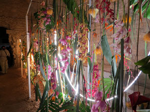 Temps de Flors 2026. La Catedral. Soterrani