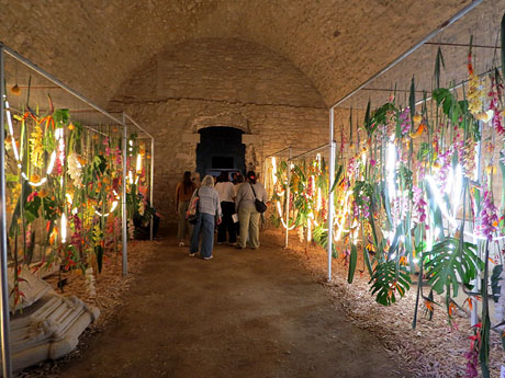 Temps de Flors 2026. La Catedral. Soterrani