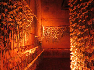 Temps de Flors 2026. Museu d'Hist&ograve;ria. La Cisterna