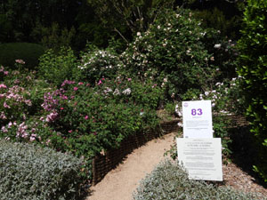 Temps de Flors 2026. . Jardins de la Devesa