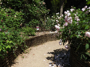 Temps de Flors 2026. . Jardins de la Devesa