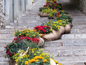 Temps de Flors 2026. Escales de la Pera
