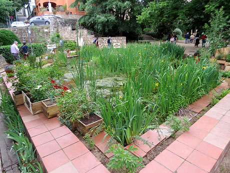 Temps de Flors 2026. Pla&ccedil;a de Narc&iacute;s Figueras. Font