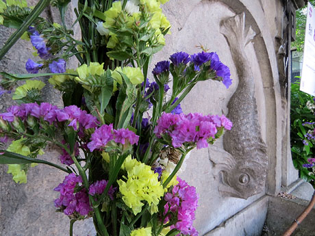 Temps de Flors 2026. Font de Jacint Verdaguer