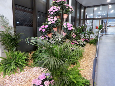 Temps de Flors 2026. Edifici F&ograve;rum