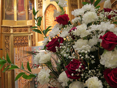 Temps de Flors 2026. Centre Maria Gay