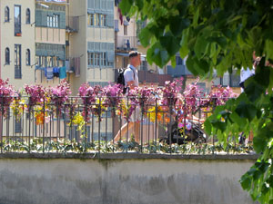 Temps de Flors 2026. Pont d'en G&oacute;mez